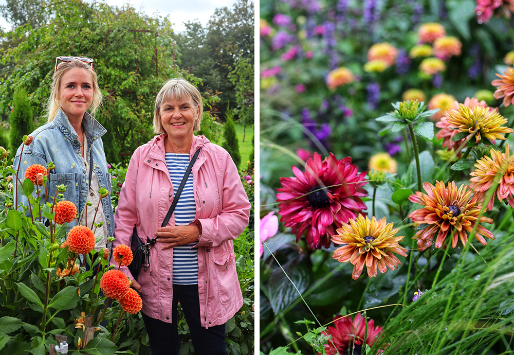 Inspirerende hagereise til Halland p� Sveriges vestkyst